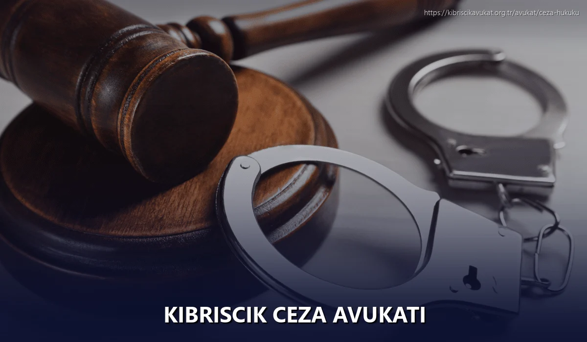 Kibriscik Ceza Avukatı
